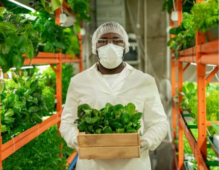 man holding plants